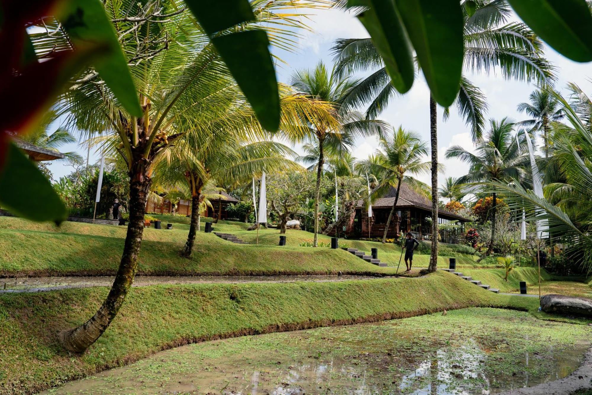 Chapung Sebali Hotel Ubud  Ngoại thất bức ảnh