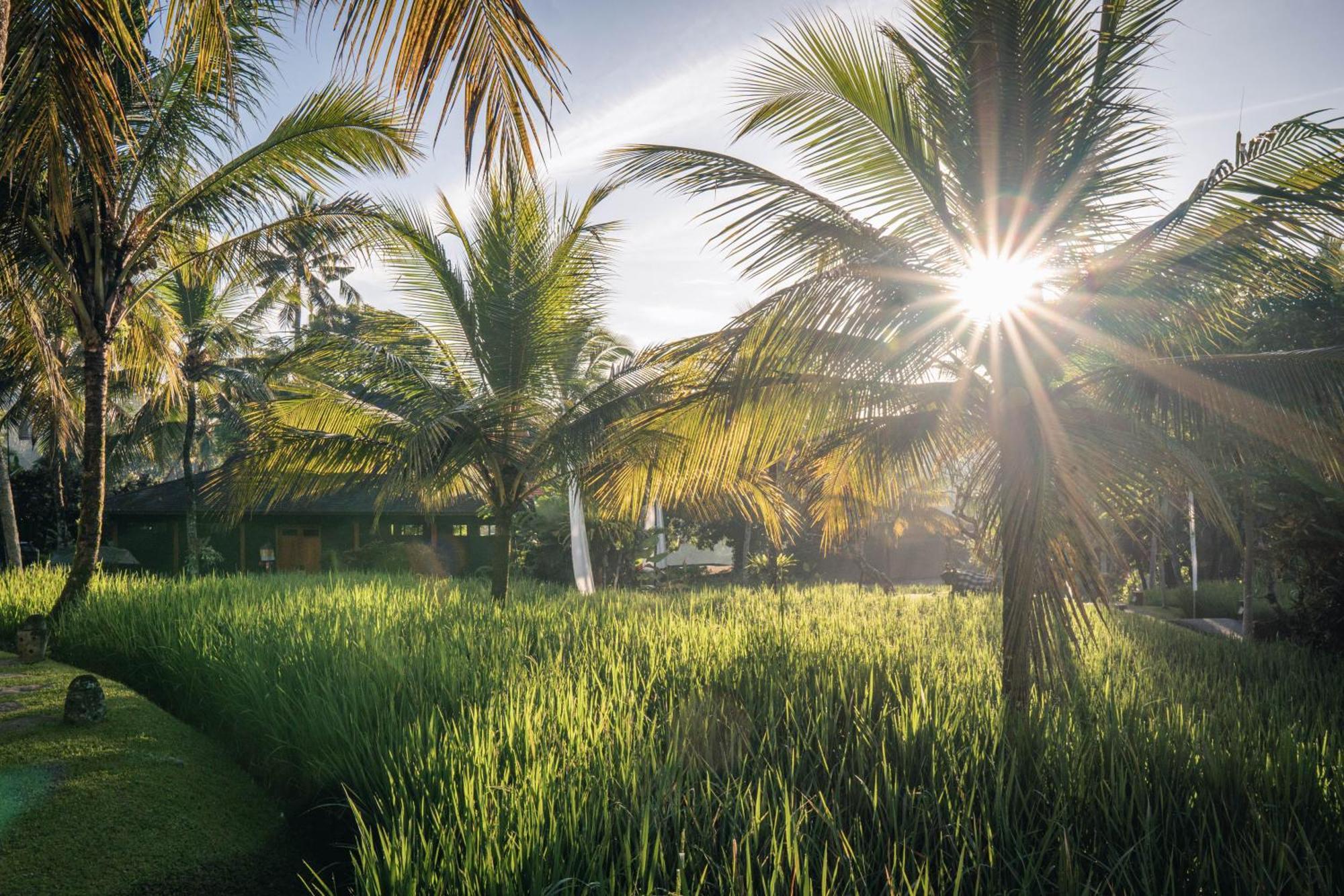 Chapung Sebali Hotel Ubud  Ngoại thất bức ảnh