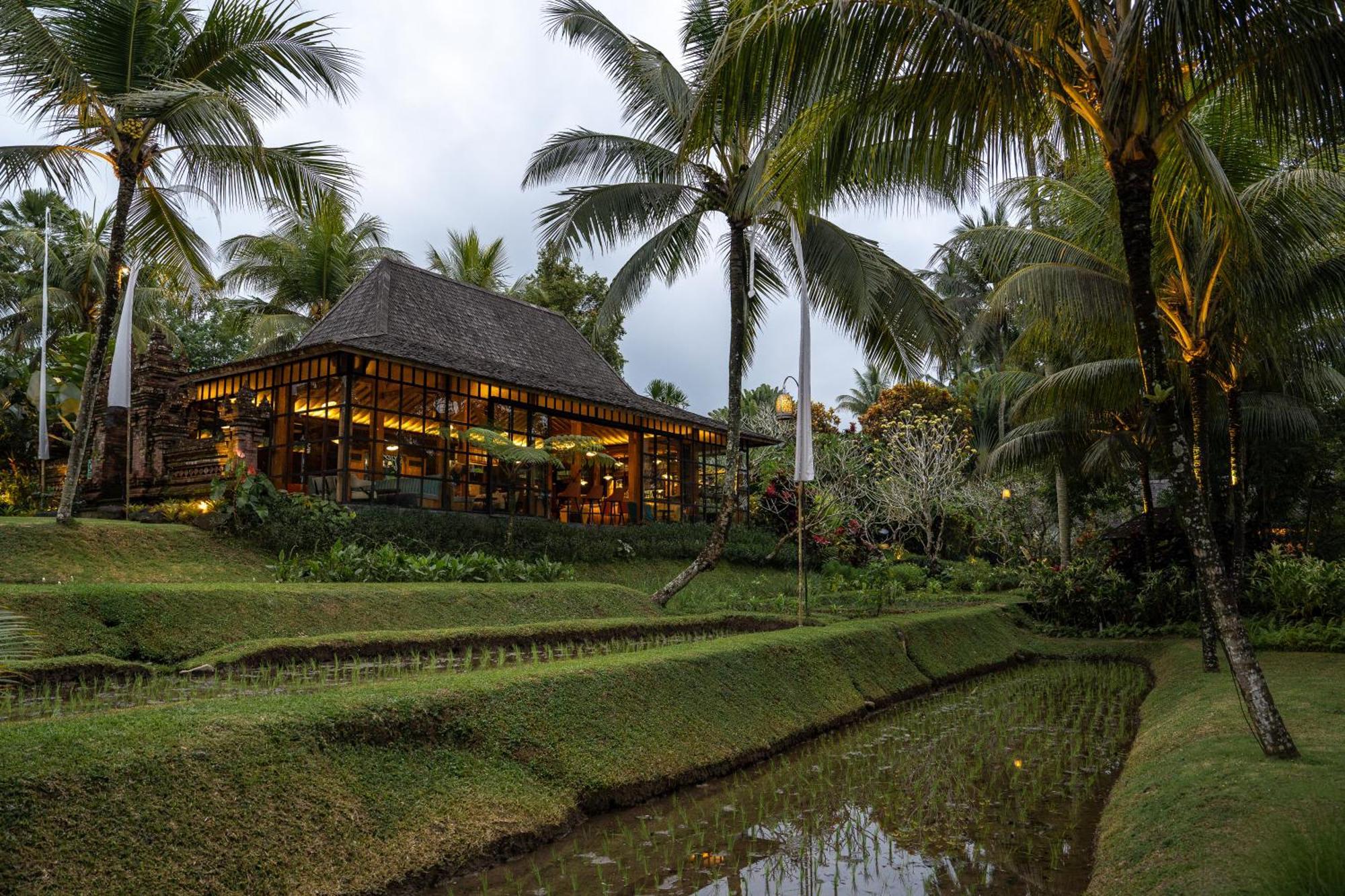 Chapung Sebali Hotel Ubud  Ngoại thất bức ảnh