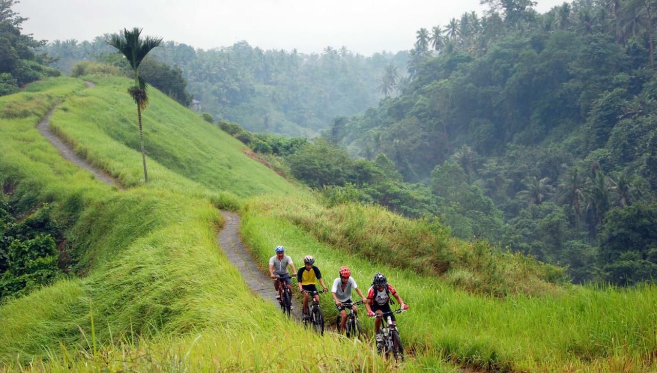 Chapung Sebali Hotel Ubud  Ngoại thất bức ảnh